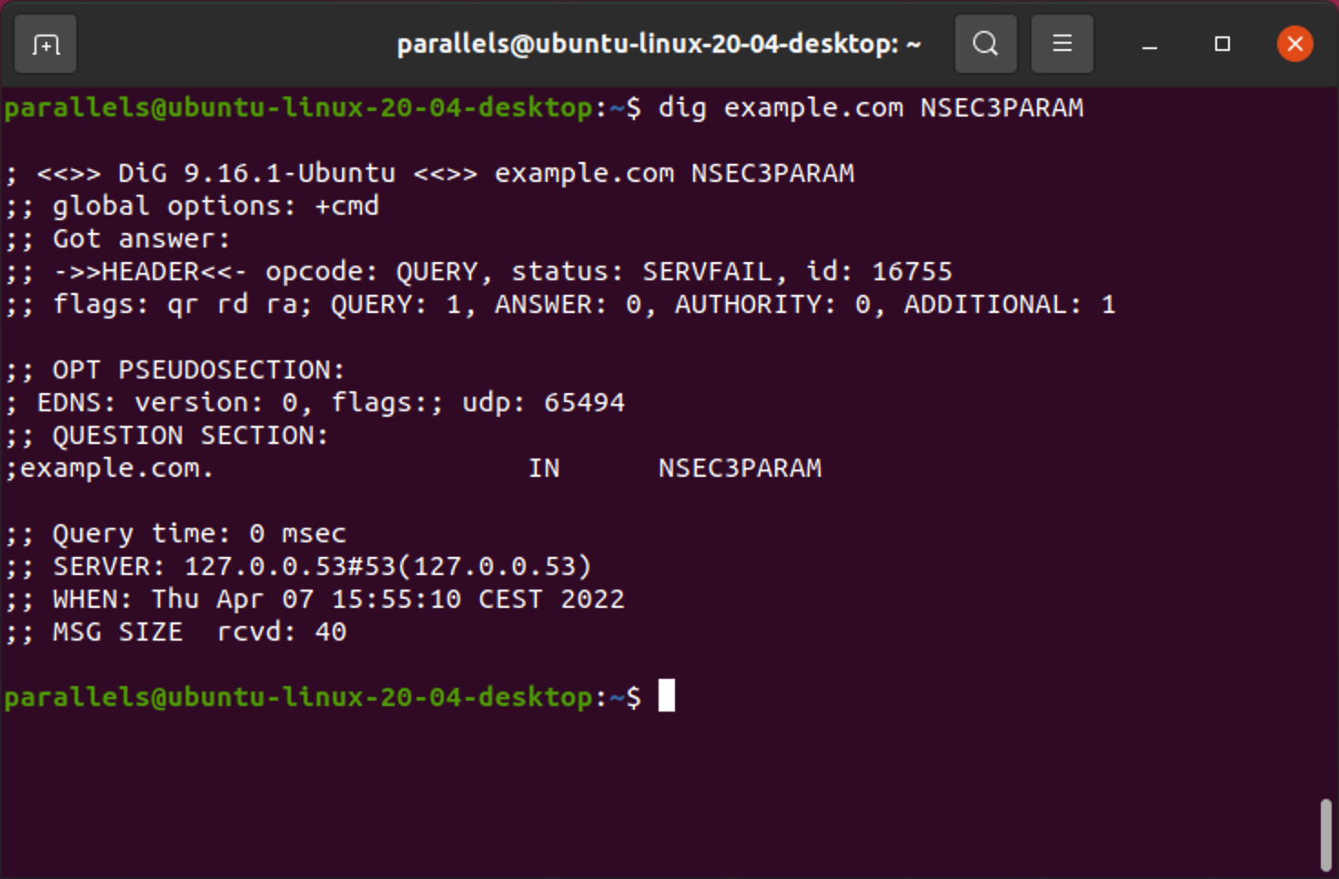 NSEC3PARAM lookup in Linux