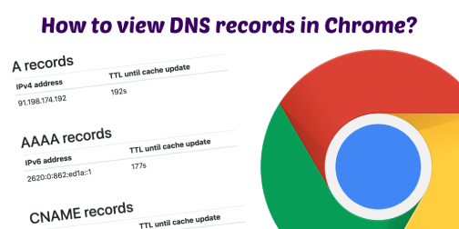 How to view DNS records in Google Chrome